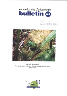 Bulletin n° 4