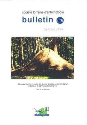 Bulletin n° 6