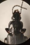 Pterostichus anthracinus