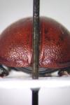 Chrysomela tremula
