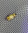 Diabrotica virgifera