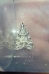 Scoparia pyralella