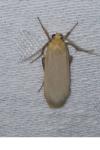 Katha depressa