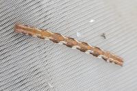 Pachycnemia hippocastanaria hippocastanaria