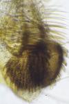 Tischeria ekebladella