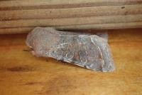 Orthosia incerta
