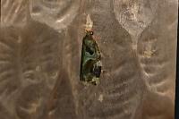 Archips xylosteana