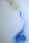 Scoparia ambigualis