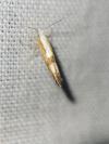 Argyresthia