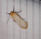 Katha depressa