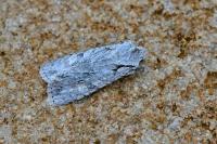 Lithophane ornitopus