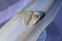 Lomographa temerata