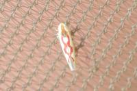Zygina flammigera
