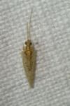Hemerobius humulinus