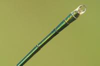Lestes virens vestalis